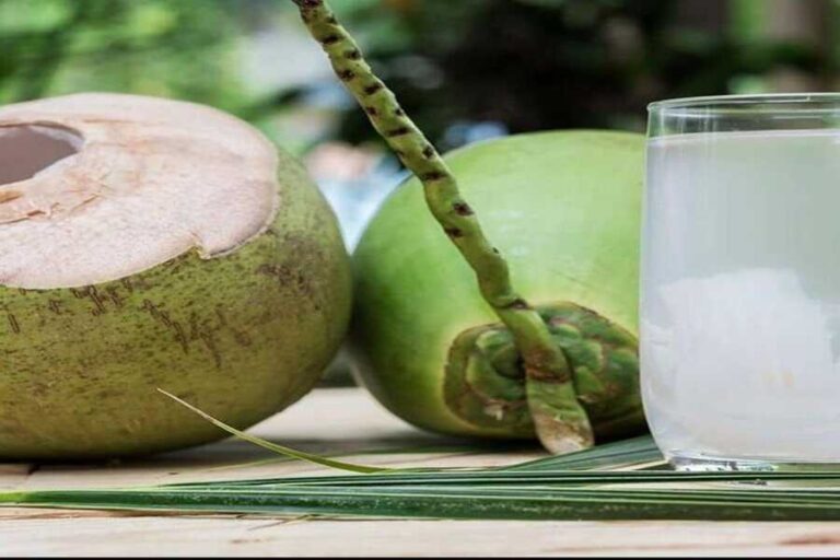 A Handy Guide To Understanding The Benefits Of Coconut Water