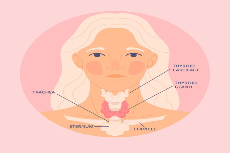 Introduction to Thyroid: Symptoms, Causes, Risk and Prevention Methods