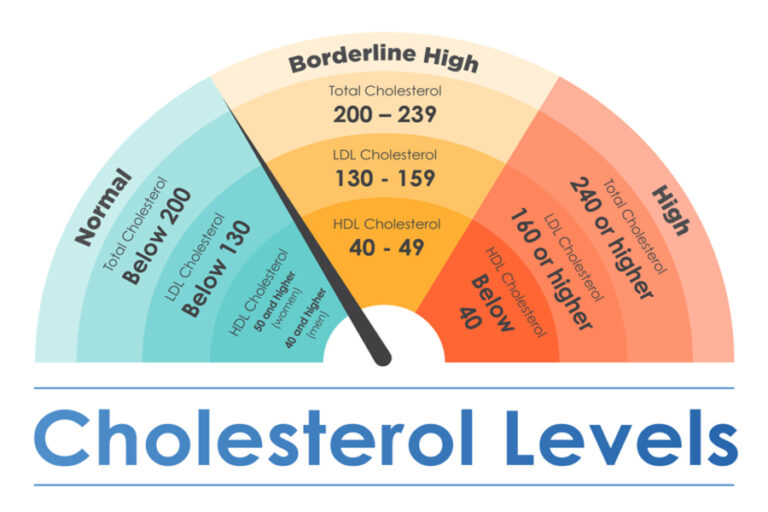 Maintain A Healthy Range For Your Body’s Cholesterol Levels
